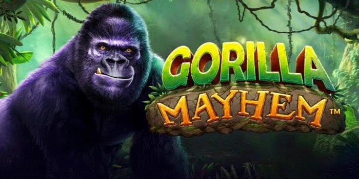 Trik Bermain Slot Gorilla Mayhem Dengan Modal Kecil
